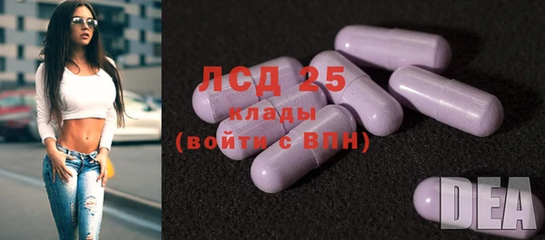 хмурый Аркадак