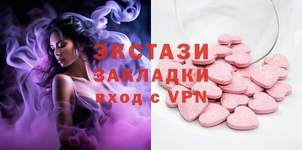 хмурый Аркадак
