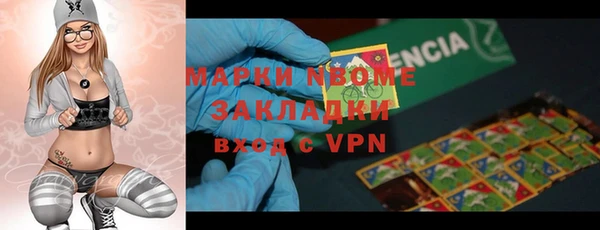 хмурый Аркадак