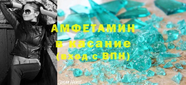 хмурый Аркадак
