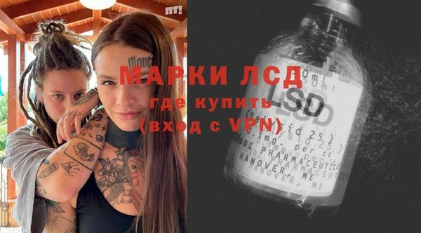 хмурый Аркадак