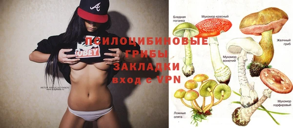 кокс Арсеньев