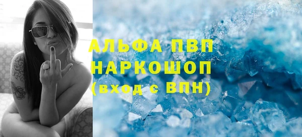 шишки Горно-Алтайск