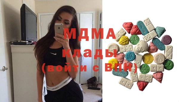 хмурый Аркадак